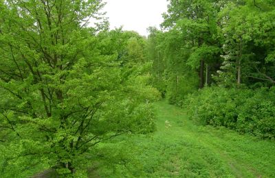 Château à vendre Gwoździany, Spółdzielcza 4a, Silésie, Parc