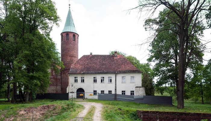 Château médiéval Karłowice 2