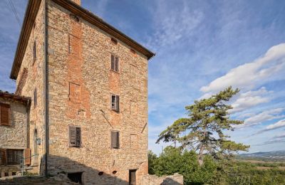 Propriétés, Ancienne tour de guet près d'Umbertide avec oliveraie