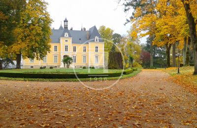 Immobilier historique à vendre Champ Rollin:  