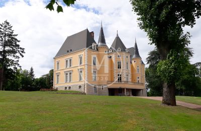 Immobilier historique à vendre Champ Rollin:  
