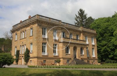 Immobilier historique à vendre Moulins:  