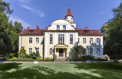 Propriétés, Château en Silésie près de Częstochowa - Région métropolitaine de Katowice