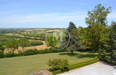 Immobilier historique à vendre Nailloux:  