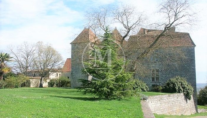 ???images??? Château à vendre Villeneuve-sur-Lot 14 pièces - 580 m²