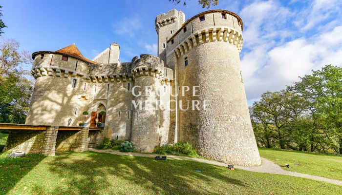 ???images??? Château à vendre Tournon-Saint-Martin 17 pièces - 800 m²