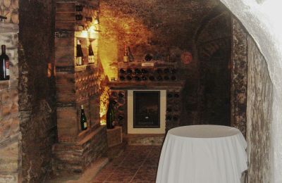 Manoir à vendre 3620 Spitz, Hinterhaus 2, Niederösterreich, Cave