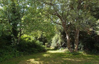 Immobilier historique à vendre Dordogne:  