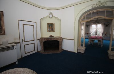 Manoir à vendre Karlovy Vary, Karlovarský kraj:  Salle de séjour