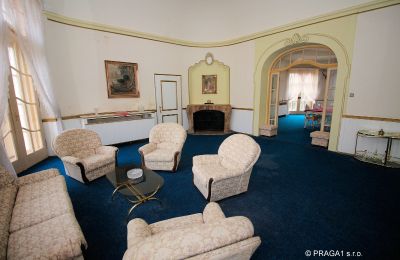 Manoir à vendre Karlovy Vary, Karlovarský kraj, Salle de séjour