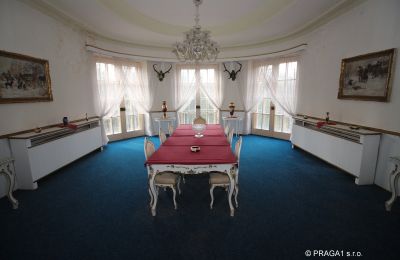 Manoir à vendre Karlovy Vary, Karlovarský kraj, Vue intérieure 1