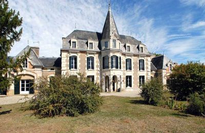 Immobilier historique à vendre Vienne:  