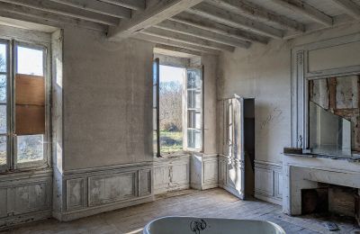 Château à vendre Saintes, Nouvelle-Aquitaine:  Vue intérieure 1