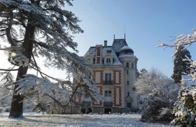 Immobilier historique à vendre Sarthe:  
