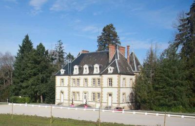 Immobilier historique à vendre Allier:  