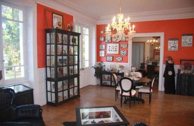 Immobilier historique à vendre Allier:  