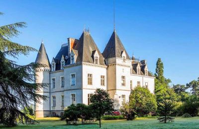 Immobilier historique à vendre Ille-et-Vilaine:  