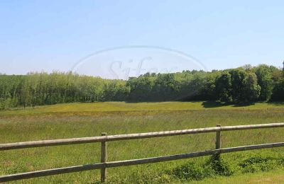 Immobilier historique à vendre Sarthe:  