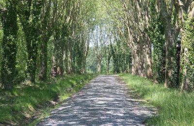 Immobilier historique à vendre Sarthe:  