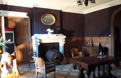 Immobilier historique à vendre Saône-et-Loire:  