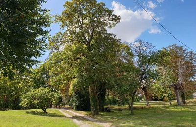 Immobilier historique à vendre Charente-Maritime:  