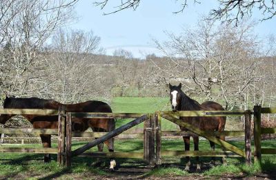 Immobilier historique à vendre Indre:  