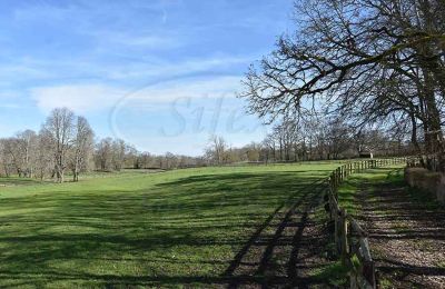 Immobilier historique à vendre Indre:  