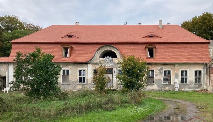  Cecenowo 4