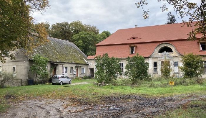  Cecenowo 5