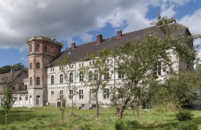 Château à vendre Cecenowo, Pałac w Cecenowie, Poméranie:  