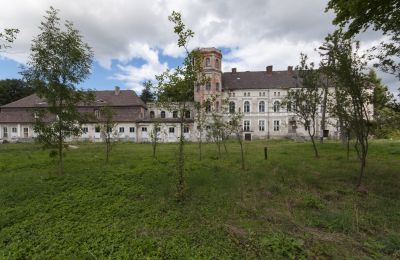Château à vendre Cecenowo, Pałac w Cecenowie, Poméranie:  2016