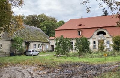 Château à vendre Cecenowo, Pałac w Cecenowie, Poméranie:  