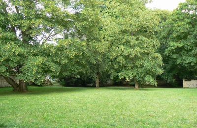 Immobilier historique à vendre Oise:  