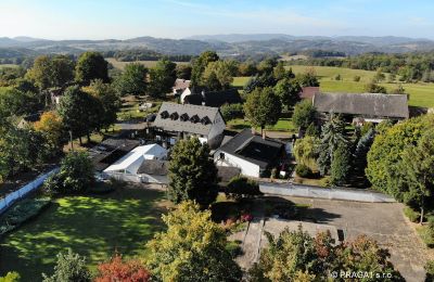 Manoir à vendre Levín, Ústecký kraj, Image 1/19