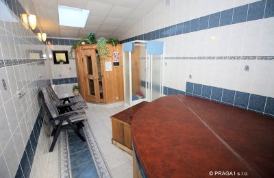 Manoir à vendre Levín, Ústecký kraj, Image 12/19