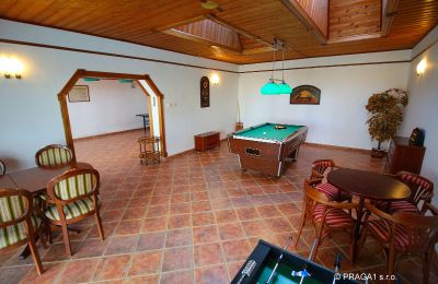 Manoir à vendre Levín, Ústecký kraj, Image 15/19