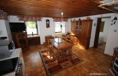 Manoir à vendre Levín, Ústecký kraj:  