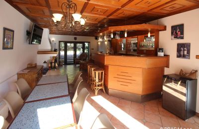 Manoir à vendre Levín, Ústecký kraj, Image 6/19