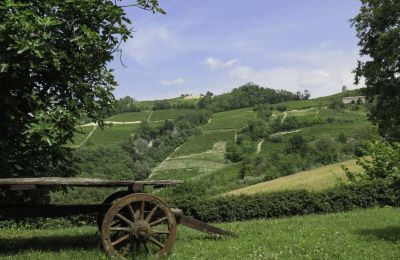 Maison à vendre Canelli:  