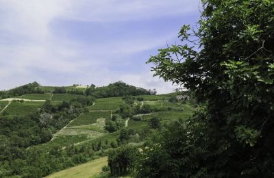 Maison à vendre Canelli:  