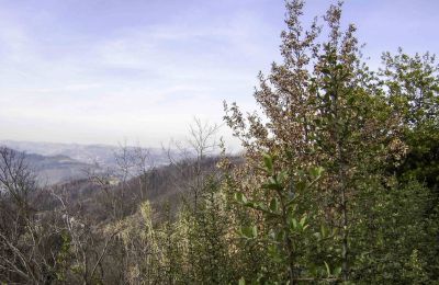 Maison à vendre Canelli:  