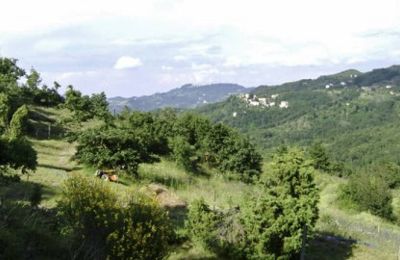 Maison à vendre Spigno Monferrato:  