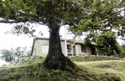 Maison à vendre Spigno Monferrato:  