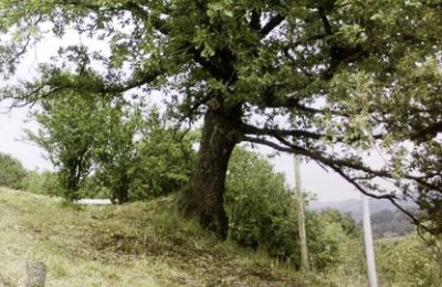 Maison à vendre Spigno Monferrato:  