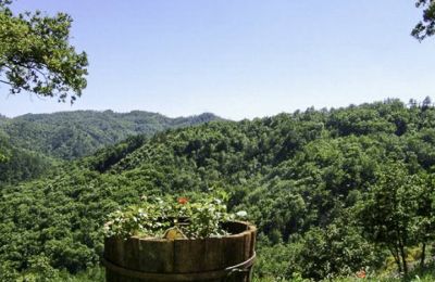 Maison à vendre Spigno Monferrato:  