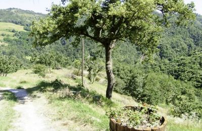 Maison à vendre Spigno Monferrato:  