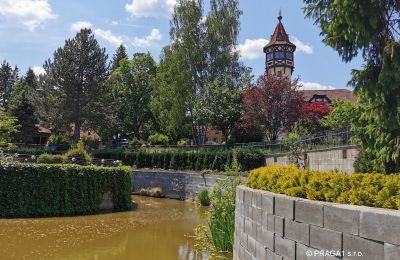 Château à vendre Karlovy Vary, Karlovarský kraj, Image 3/14