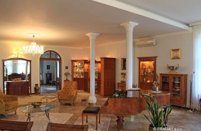 Château à vendre Karlovy Vary, Karlovarský kraj, Image 7/14