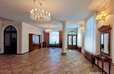 Château à vendre Karlovy Vary, Karlovarský kraj:  