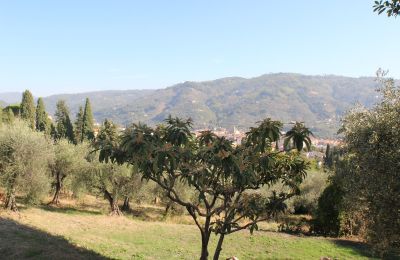 Maison à vendre Toscana:  
